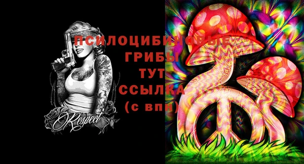 хмурый Михайловск