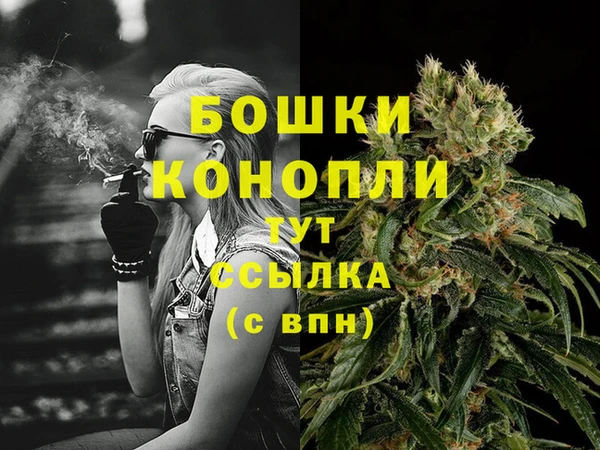 спайс Михайлов