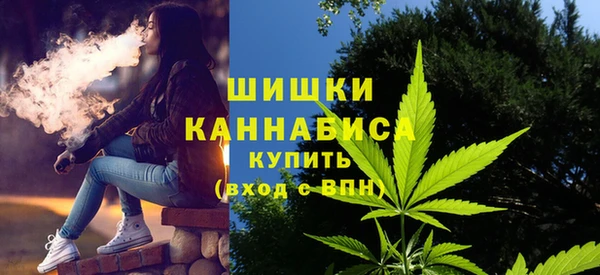 хмурый Михайловск