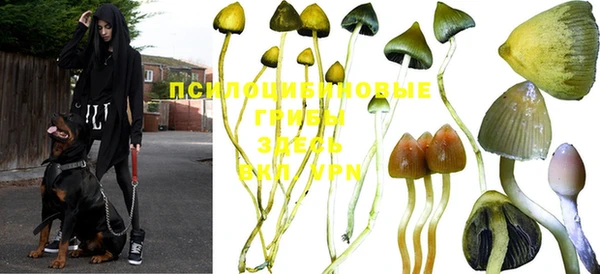 mdma Надым