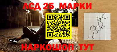 СК Заводоуковск